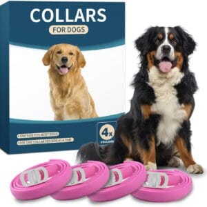 Adjustable Dog Collars