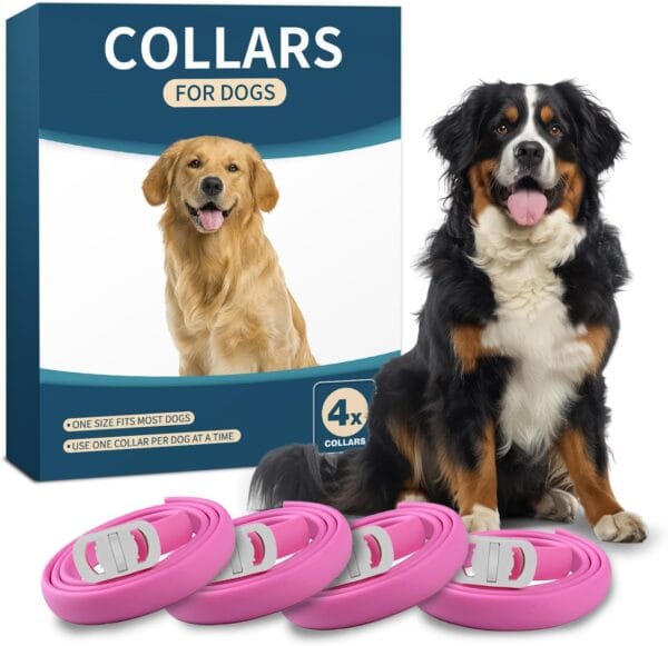 Adjustable Dog Collars