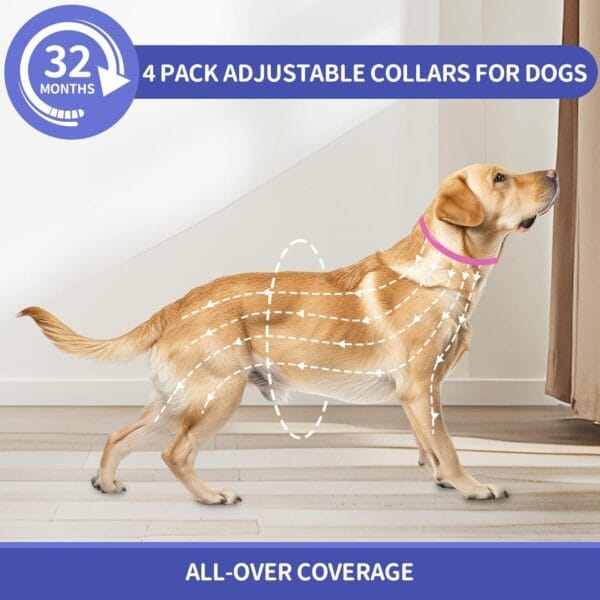 Adjustable Dog Collars - Image 2