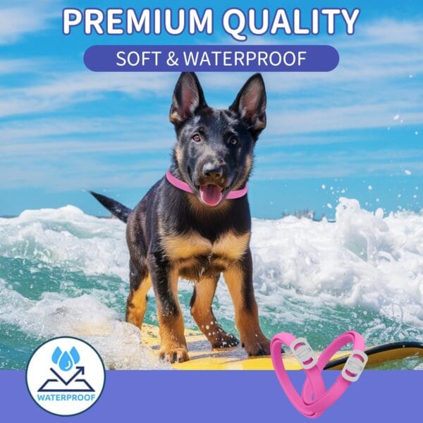 Adjustable Dog Collars - Image 3