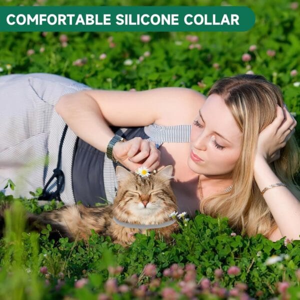 Cat Collars - Image 6