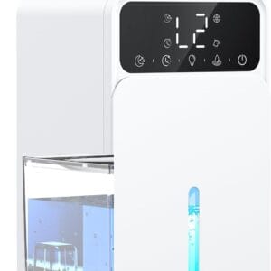 Dehumidifiers for Home