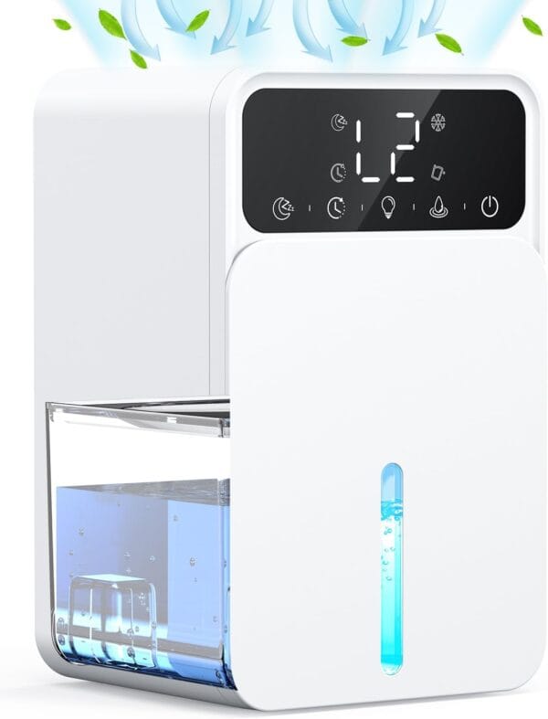 Dehumidifiers for Home