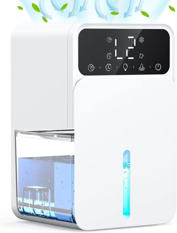 Dehumidifiers for Home